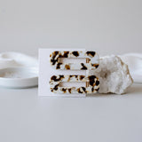 Tortoise Duo Hair Clip Set