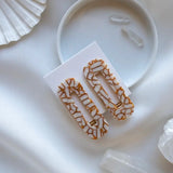 Tortoise Duo Hair Clip Set